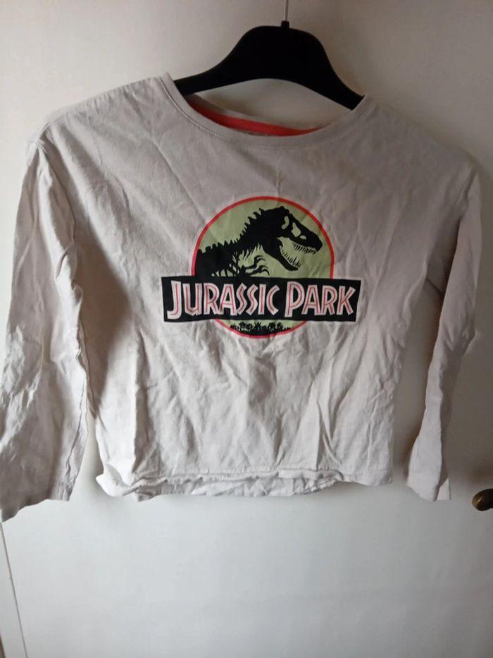 Tee shirt 8 ans jurassic park - photo numéro 1