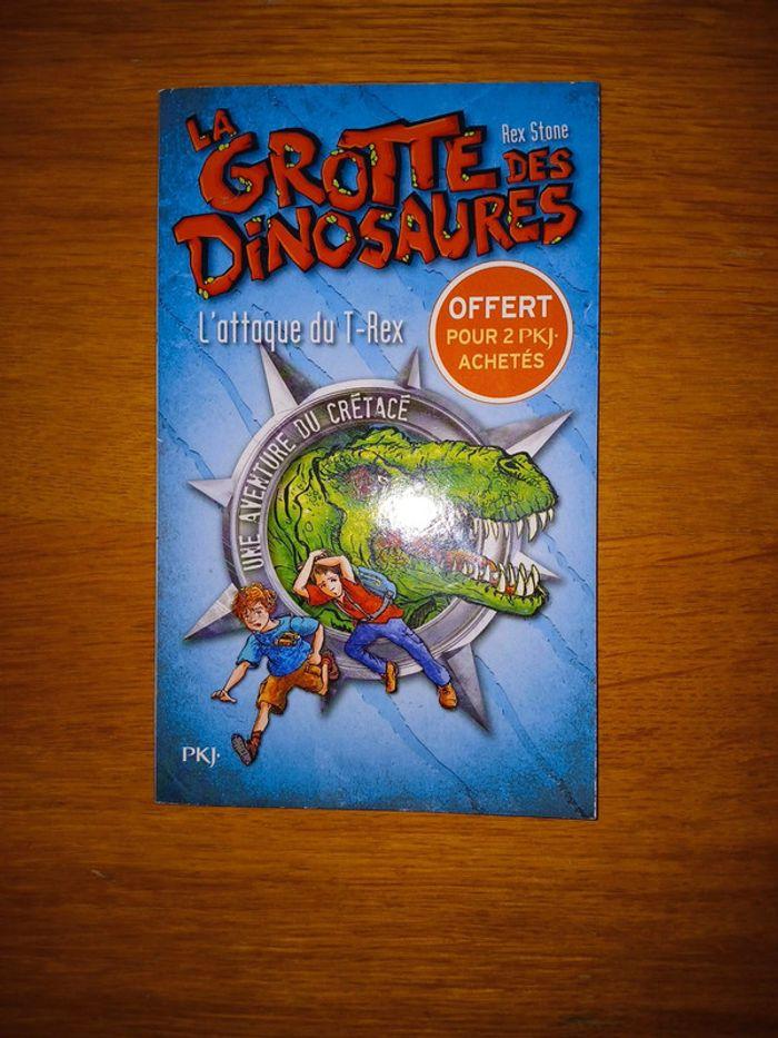 Lot la grotte des dinosaures - photo numéro 14