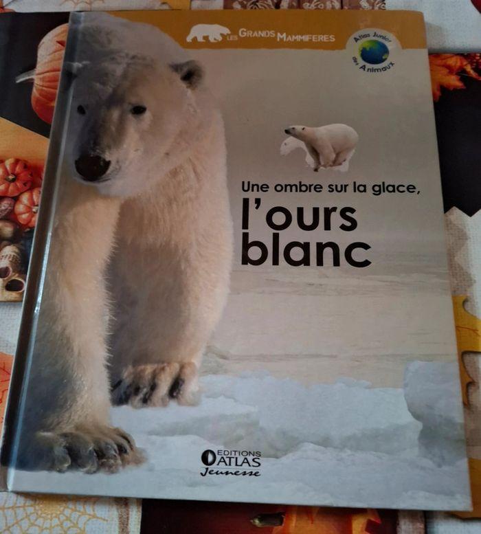 Livre  une ombre  sur  la glace l'ours blanc - photo numéro 1