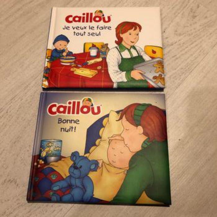 Livre de caillou - photo numéro 1