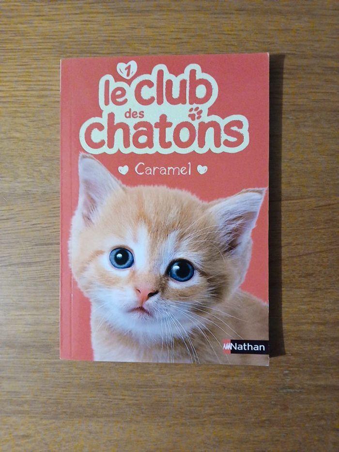 Lot le club des chatons - photo numéro 2