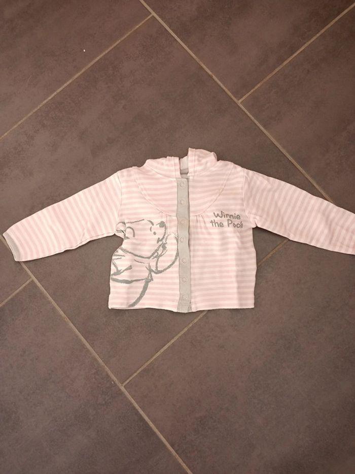 Gilet à capuche rayé rose/gris 6mois - photo numéro 1