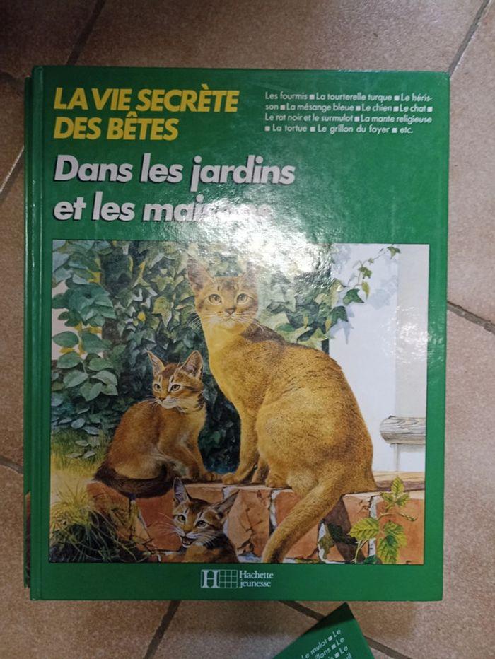 Livre sur les animaux - photo numéro 4