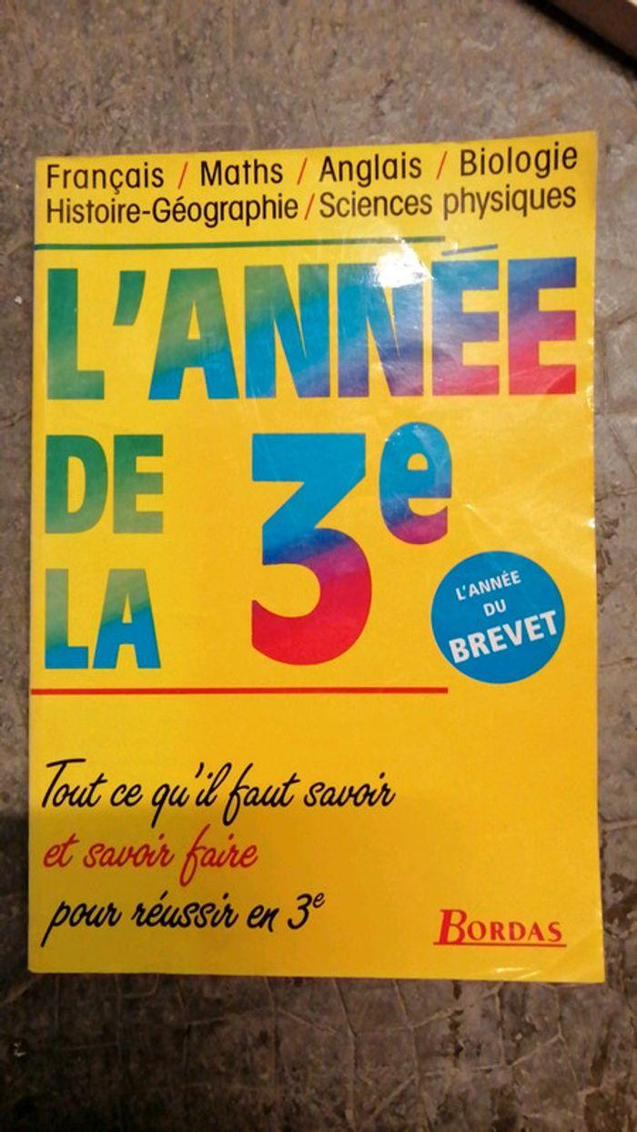 L'année de la 3ème - photo numéro 1