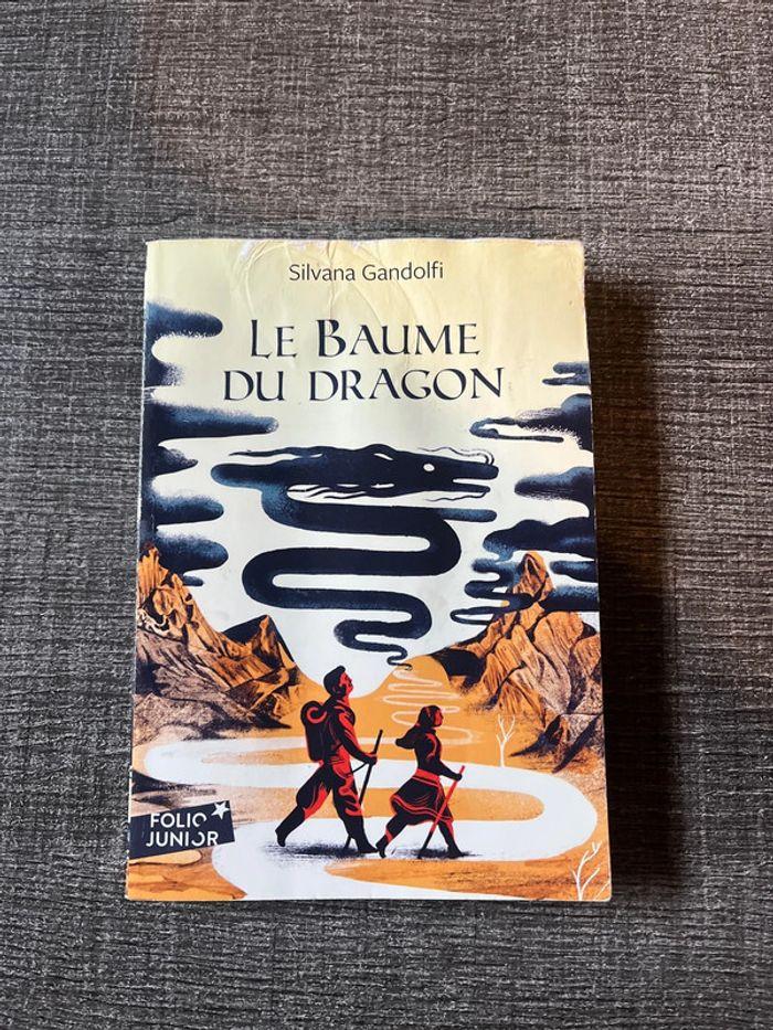 Livre le baume du dragon - photo numéro 1