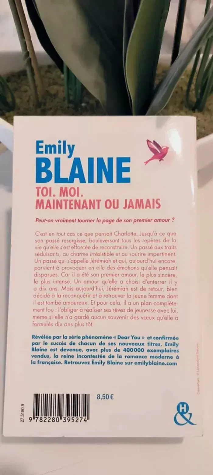 livre Toi - Moi - Maintenant Ou Jamais - Blaine Emily en tres bon etat - photo numéro 2