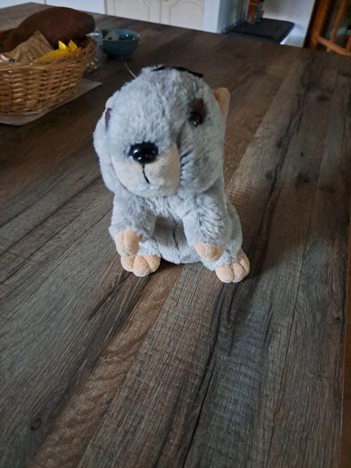 Peluche marmotte - photo numéro 1