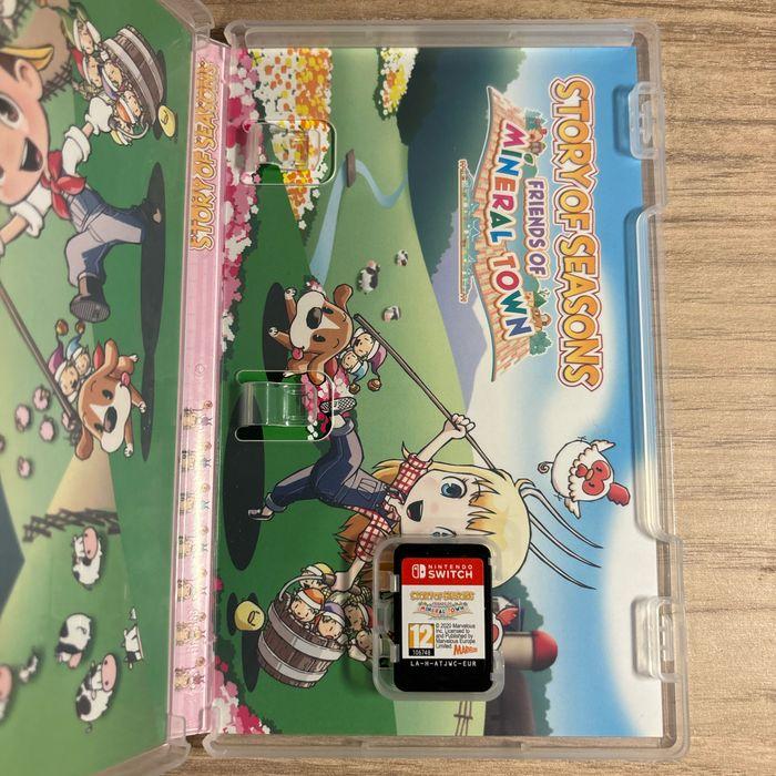 Story of seasons switch - photo numéro 2