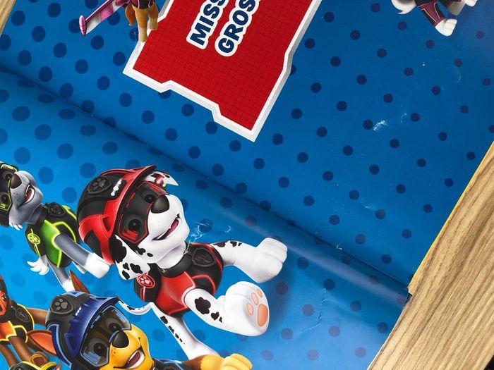 Lot livres Paw Patrol / La Pat’ Patrouille - Hachette Jeunesse - photo numéro 3