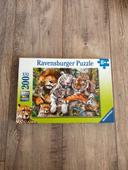 Puzzle tigres