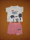 Ensemble Mickey