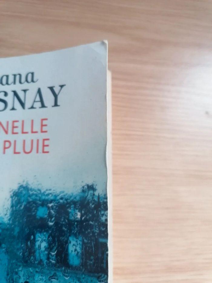 Livre de Poche "Sentinelle de la pluie" - photo numéro 3