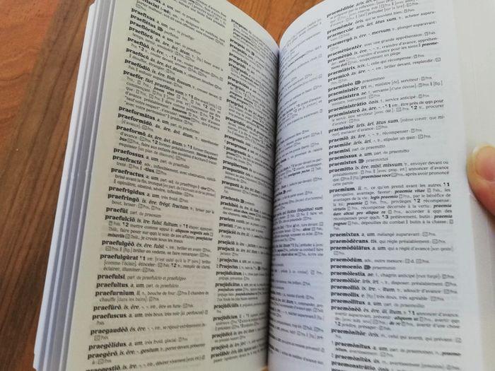 Dictionnaire latin - photo numéro 9