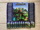 Panini - Minecraft Wonderful World - Album vide et neuf + 40 Pochettes Neuves