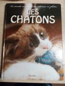 Encyclopédie sur les chatons