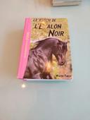 Le ranch de l'étalon noir tome 3