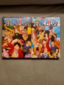 DVD One Piece