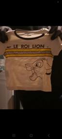 Ensemble roi lion.