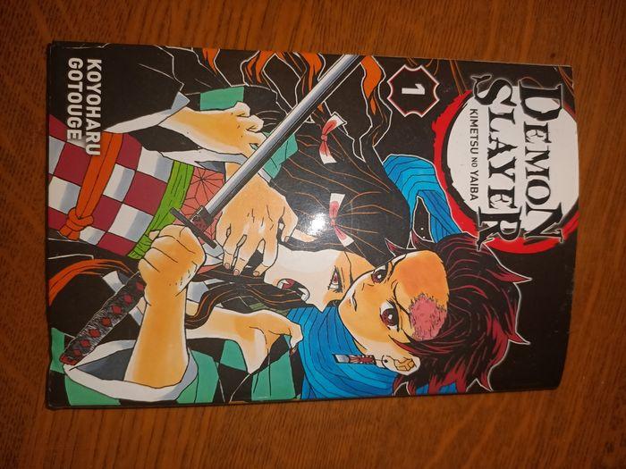 Démon slayer tome 1