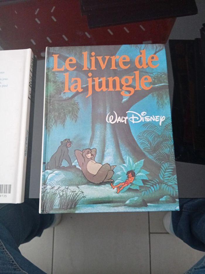 Livres Disney - photo numéro 3