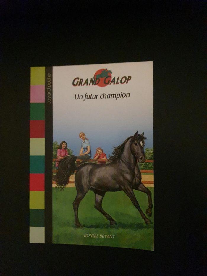 Lot 10 livres chevaux grand galop - photo numéro 20