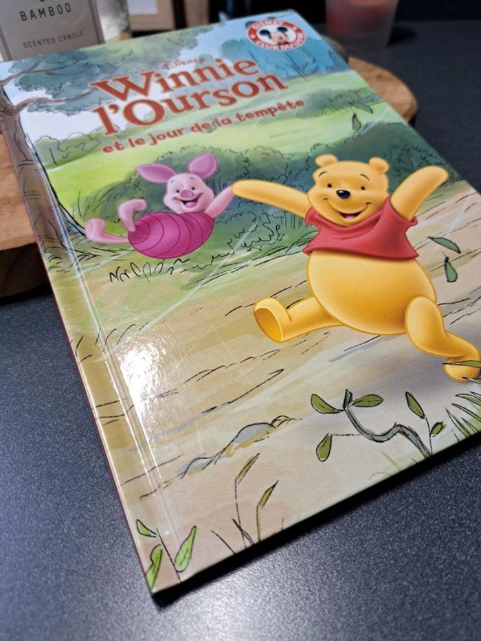 Livre Disney Winnie l'ourson collection Hachette - photo numéro 2