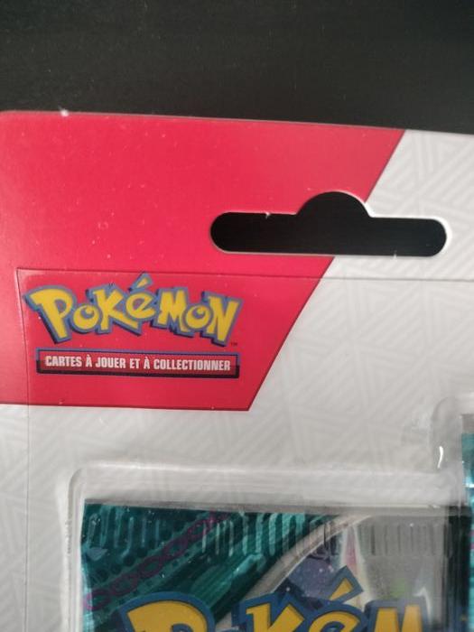 Blister Pokémon - photo numéro 7