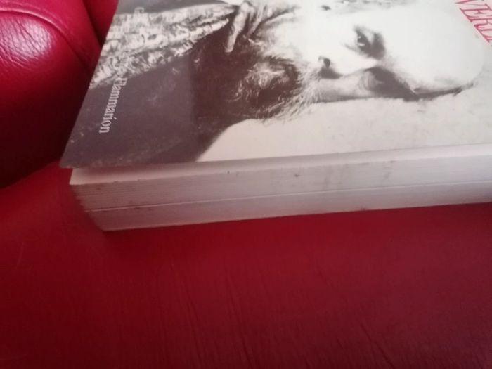 Livre "Verlaine" Henri Troyat biographie - photo numéro 6