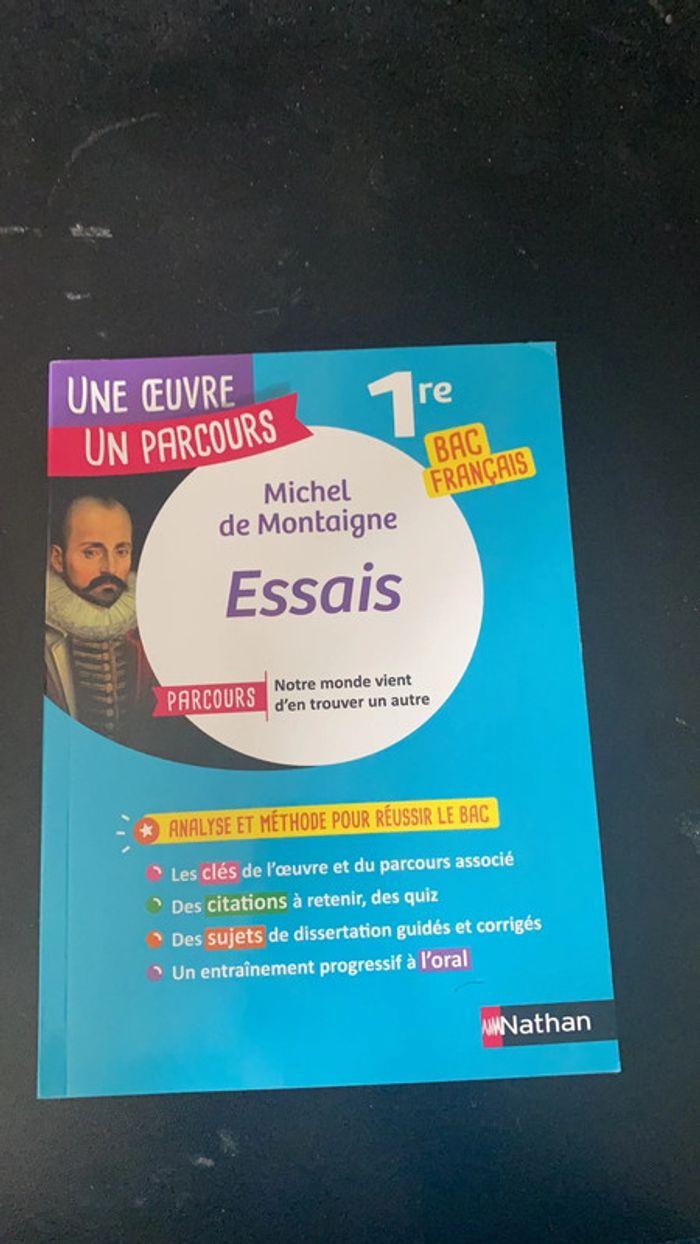 Analyse de l’essai de Montaigne - photo numéro 1