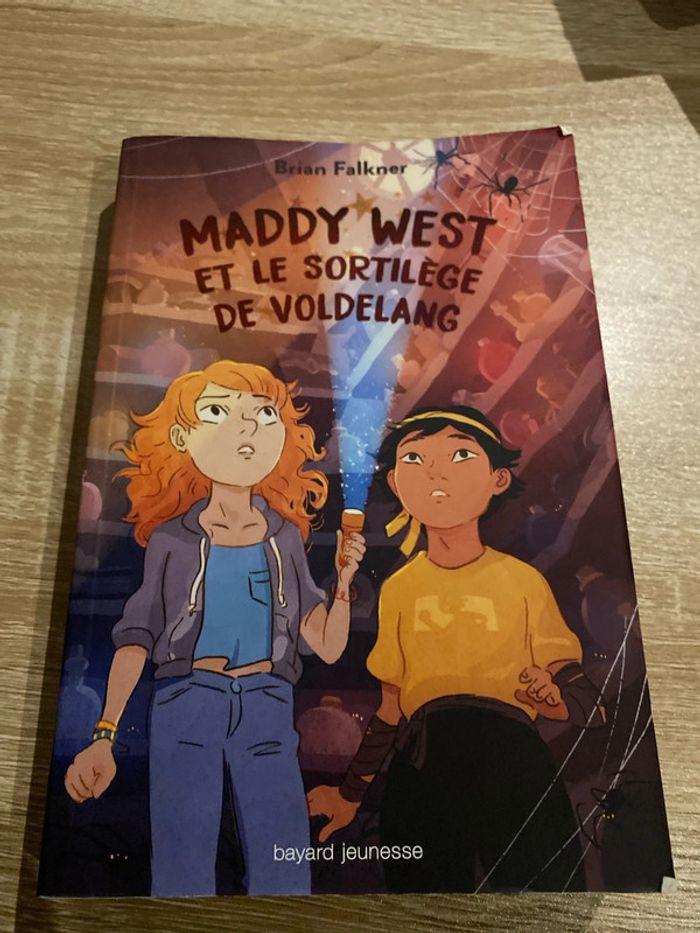 Maddy west et le sortilège de voldelang - photo numéro 1