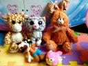 Lot peluche