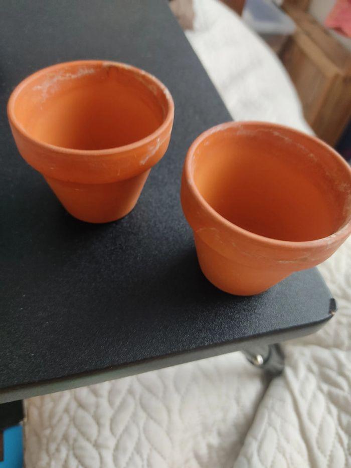 Deux minis pots de fleurs - photo numéro 2