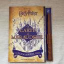 Harry Potter livre gaillard jeunesse