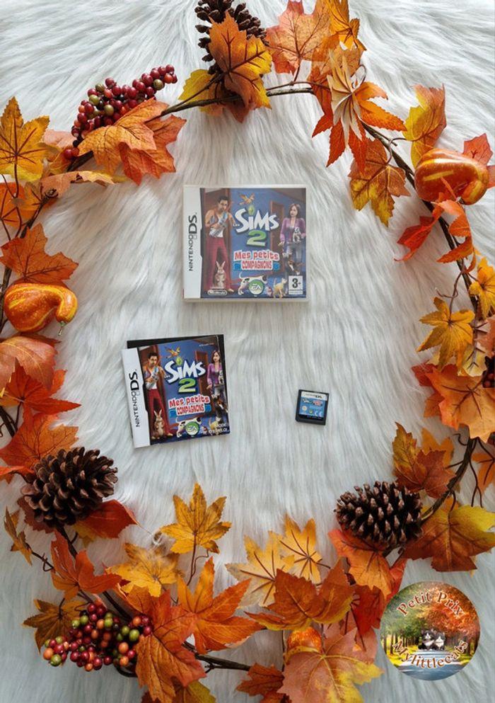 Jeu Nintendo DS les sims 2 - photo numéro 1