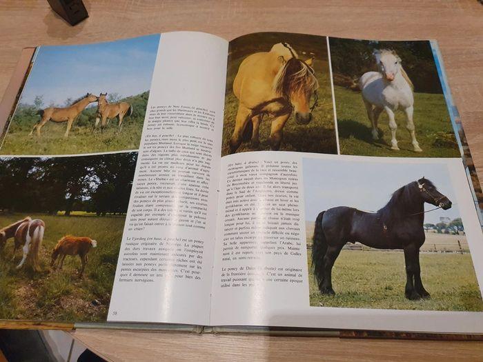 Livre Passion des chevaux - photo numéro 3