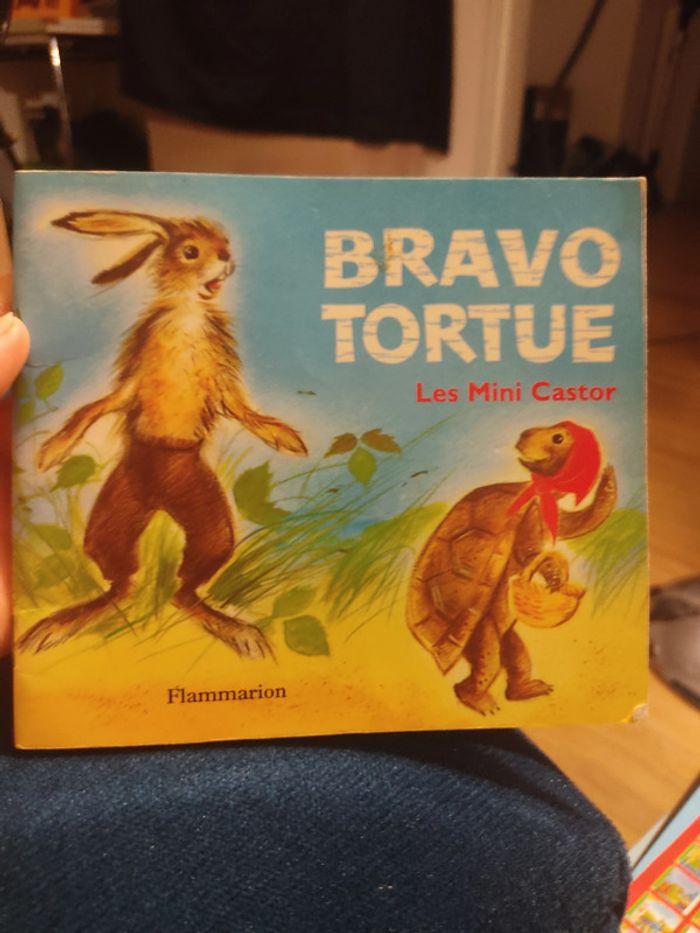 Bravo tortue - photo numéro 1