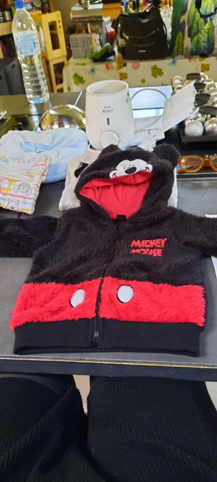 Veste mickey