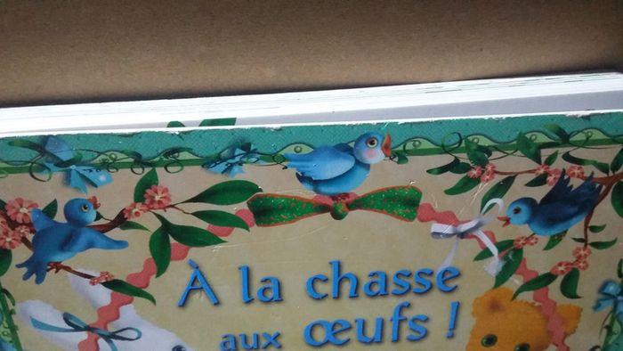 Livre à la chasse aux oeufs - photo numéro 4