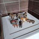 Lot de 8 animaux schleich