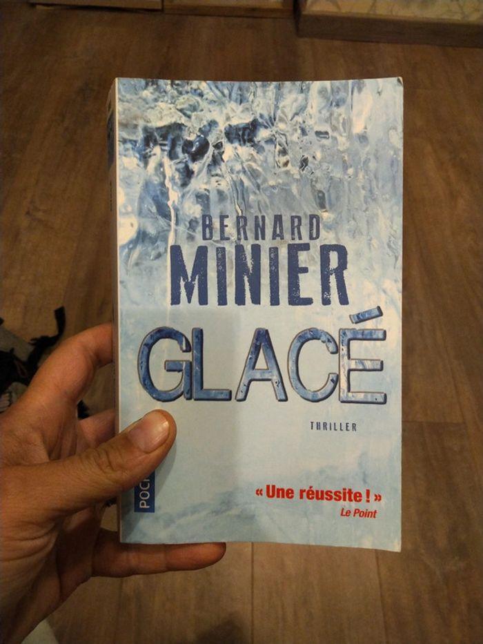 Glacé bernard minier - photo numéro 1