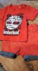 Ensemble Timberland