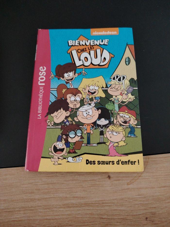 Livre bienvenue chez les loud tome 1 - photo numéro 1