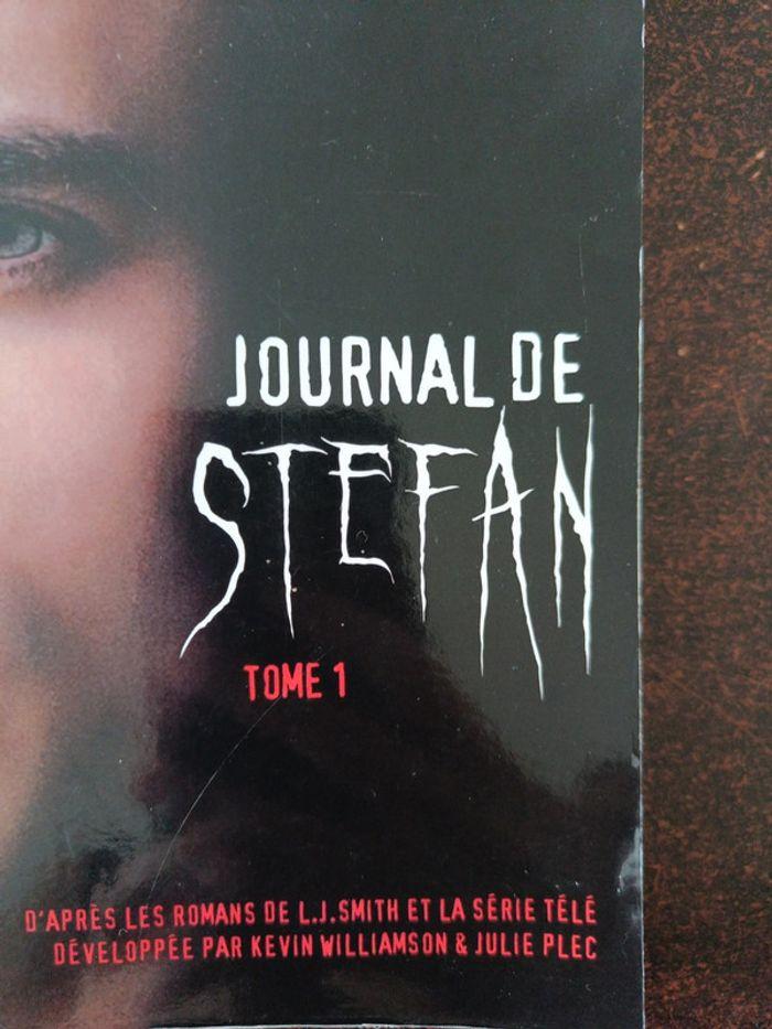 Journal de Stefan Tome 1 - photo numéro 4