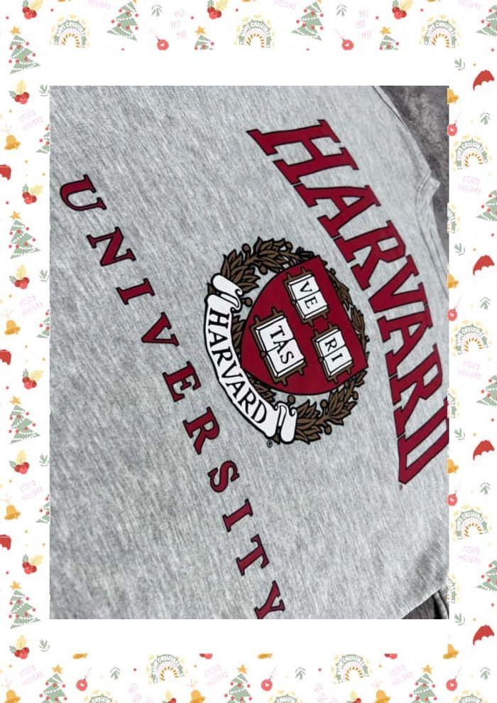 👕 Sweat à capuche Veste University Rare Vintage y2k 90s 2000s Harvard Gris Taille S 👕 - photo numéro 7