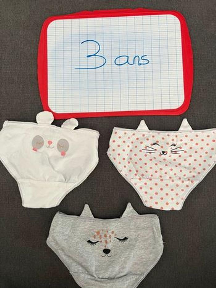 Lot de 3 culottes 3 ans - photo numéro 1