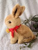 Peluche lapin or Lindt