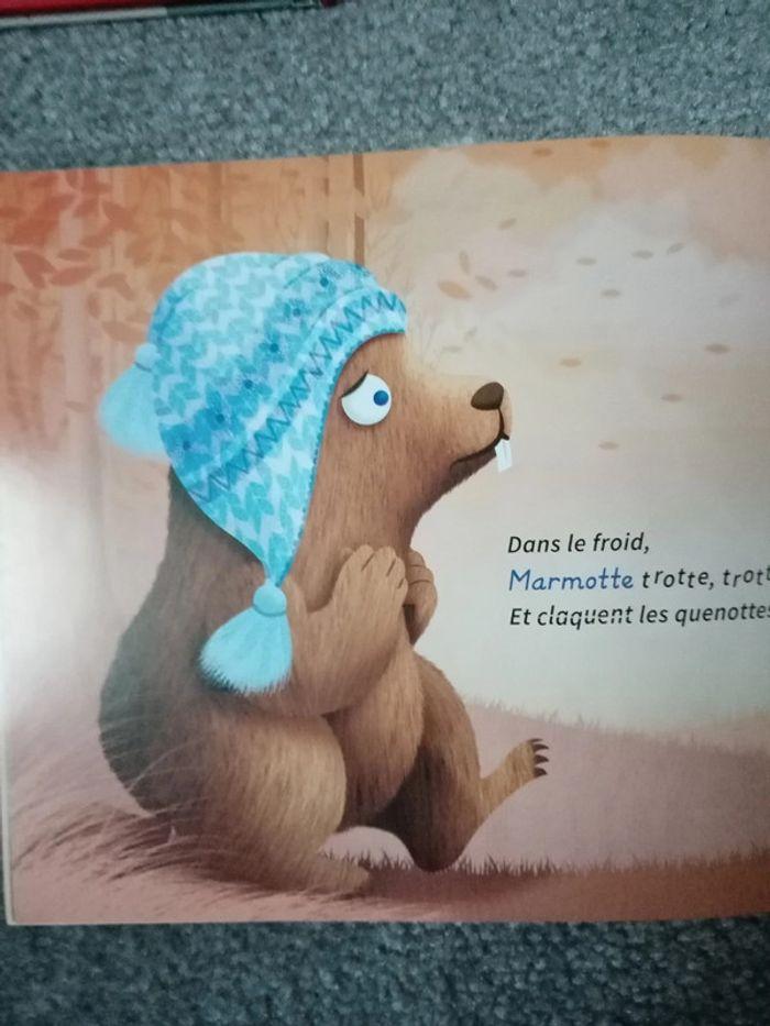 3 livres maternelle - photo numéro 7