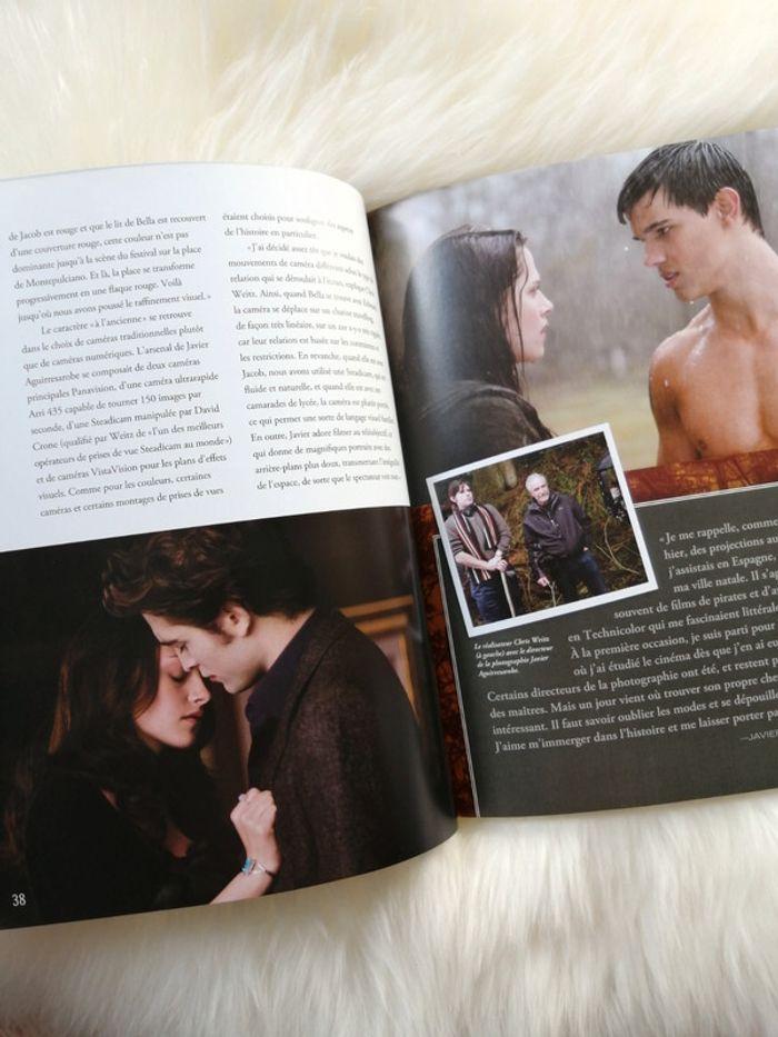 Twilight : Tentation - Le guide officiel du film - Mark Cotta Vaz - photo numéro 5