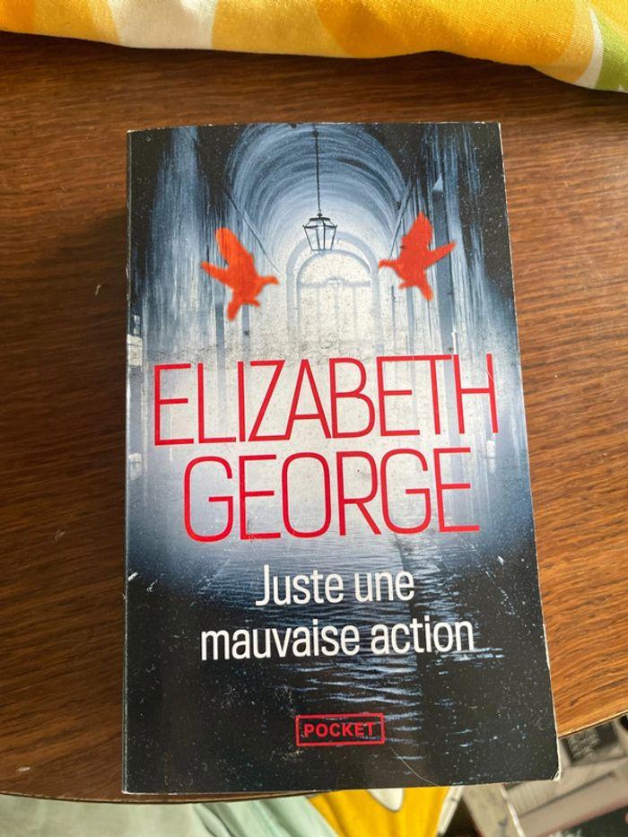 Livre de elizabeth George - photo numéro 1