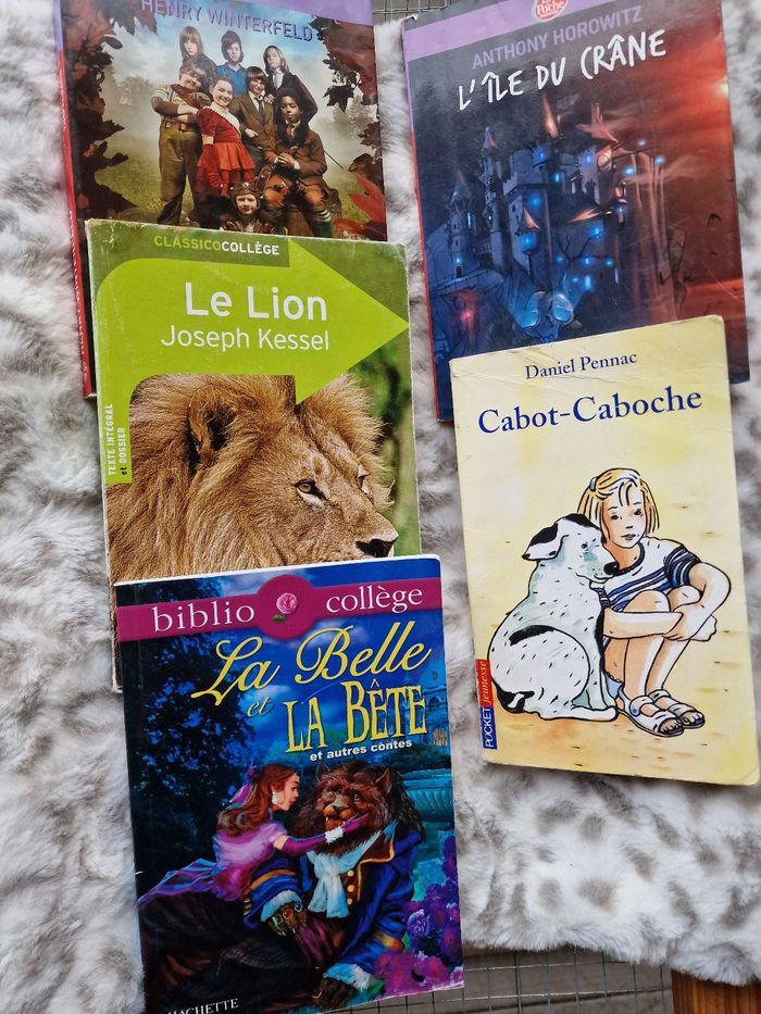 Lot 5 livres